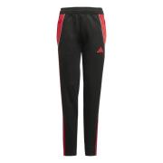 Adidas tiro24 trpnt sy trainingsbroek voetbal jongens -