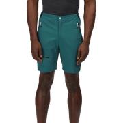 Regatta Heren highton pro shorts