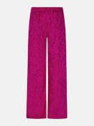 Ydence pant robin 153 purple