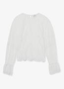 Reiss Emilia semi-transparante top met broderie