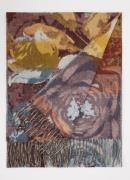 Fraas Sjaal met bloemenprint 200 x 35 cm