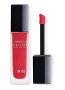 DIOR Dior Forever Blush Soft Filter
