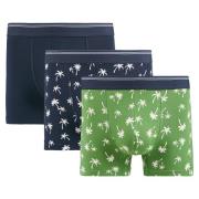 Set van 3 boxershorts, 2 bedrukt + 1 effen