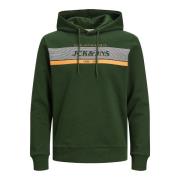 Hoodie Jjalex