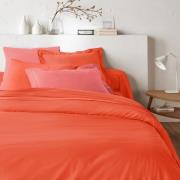 Dekbedovertrek in katoen, Scenario