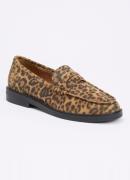 Steve Madden Adison loafer van suède met panterprint