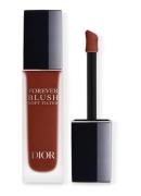 DIOR Dior Forever Blush Soft Filter