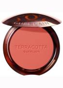 Guerlain Terracotta Blush - blush